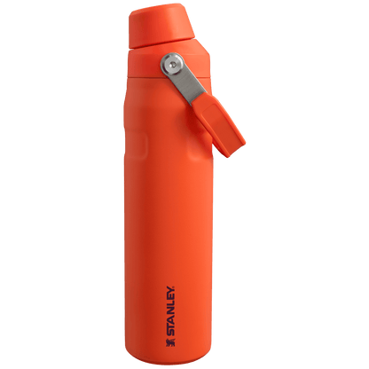 IceFlow™ Fast Flow Soğuk Su Termosu | 0.6L